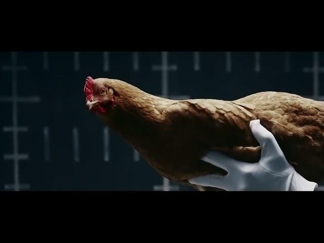 Mercedes Benz “Chicken” MAGIC BODY CONTROL TV commercial