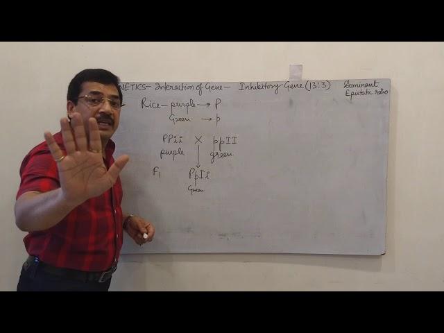 Interaction of Gene | Inhibitory gene