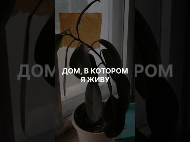 Дом, в котором я живу