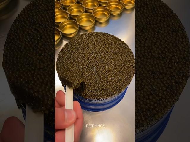 Caviar  #shorts #facts