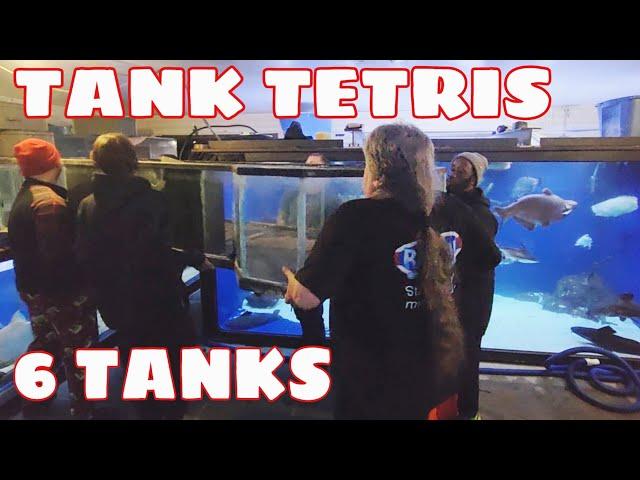 BIGGEST Aquarium Move Ohio Fish Rescue Ever Made! + New Behemoths Arrive