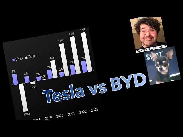 Tesla vs. BYD Profit Margin Chart