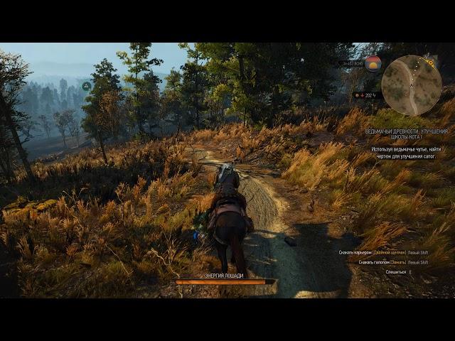 witcher3 Улучшенные доспехи и сапоги школы Кота