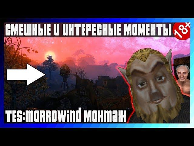 СМЕШНЫЕ И ИНТЕРЕСНЫЕ МОМЕНТЫ/МОНТАЖИК - TES: Morrowind