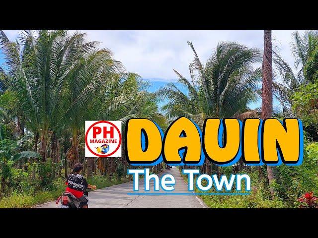 DAUIN  - The Town