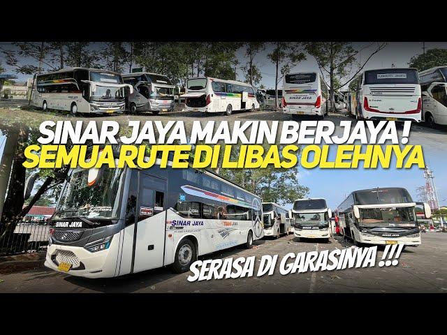 BUS TERAMAI DI TERMINAL & DI JALAN‼️HAMPIR SEMUA RUTE DI LIBAS PO INI‼️SINAR JAYA TETAP BERJAYA