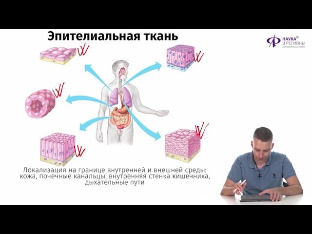 Биология | Уровни организации живой материи