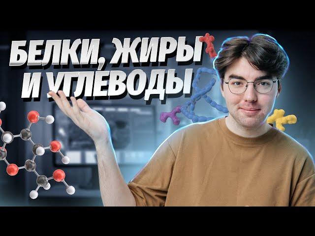 Белки, жиры и углеводы | Биология ОГЭ 2024 | Умскул