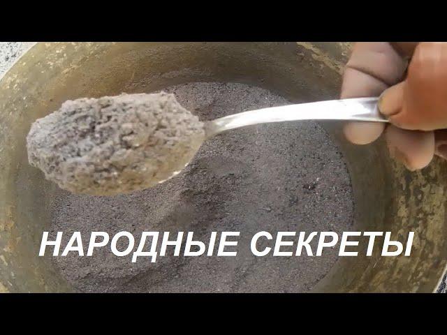 Куры несушки Народный заменитель кальция