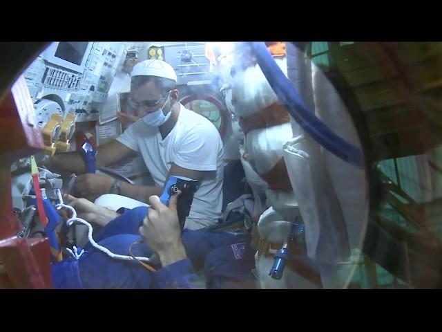 Sputnik 'zero-g indicator' flying on Soyuz MS-06