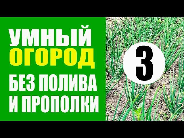 Умный Огород - 3 ч. Не Нужно Поливать и Пропалывать. Природное земледелие. Урожайный огород