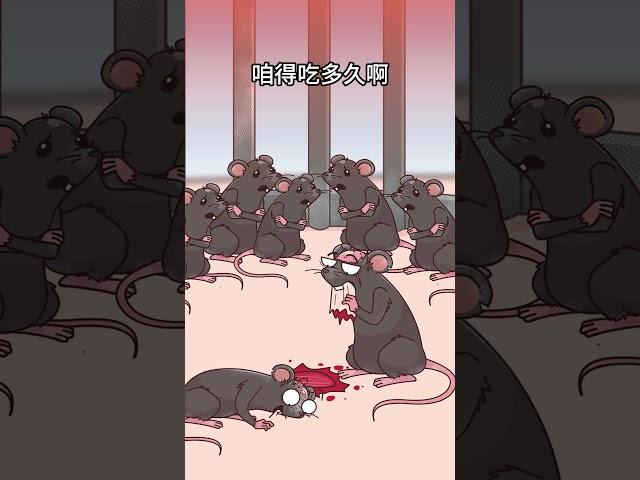 古代酷刑--鼠刑#漫画#科普# #聚猿创团队#知识 #搞笑漫画