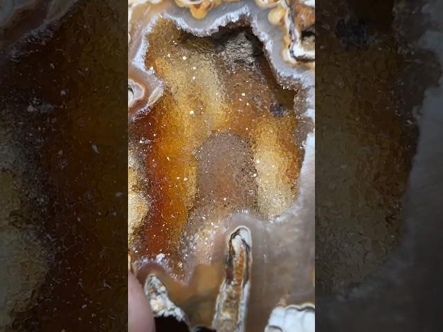 Smashing Ancient Coral Geodes 🪸 #crystals #geology #geodes #rocks #shorts