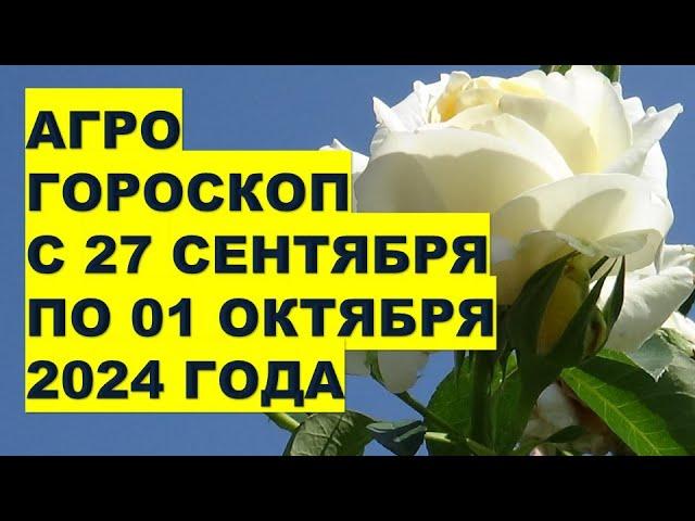 Агрогороскоп с 27 сентября по 01 октября 2024  Agrohoroscope from September 27 to October 01, 2024