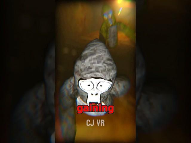 The Thing Chased Him… #gorillatag