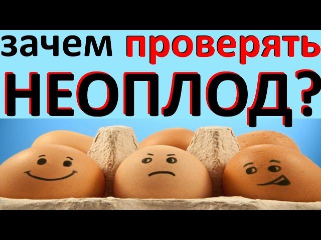 Зачем ЯЙЦА проверять на неоплод при ИНКУБАЦИИ