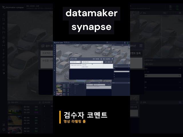 datamaker synapse 동영상 라벨링 툴_ 검수자 코멘트 기능