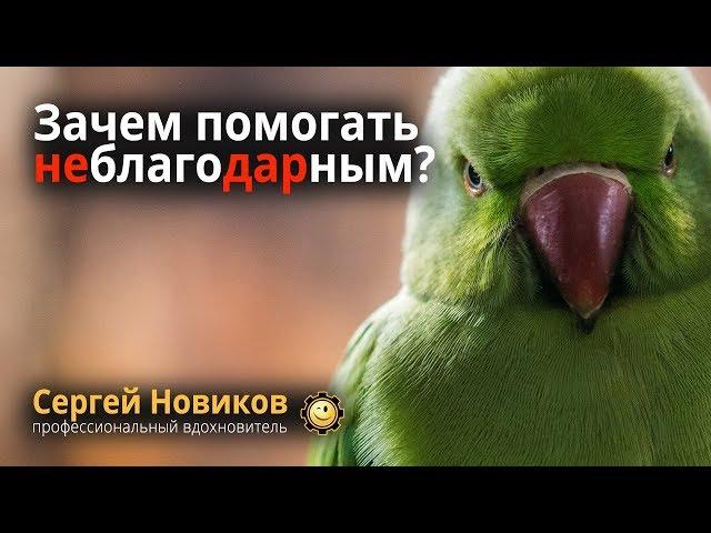 Зачем помогать неблагодарным? #МысльНаПодумать