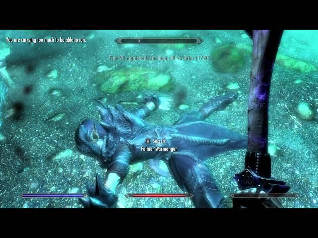 What is Falmer Warmonger - Skyrim