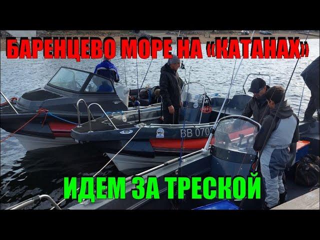 За драйвом и рыбой на край земли!