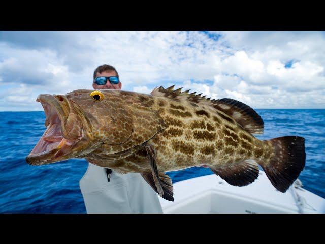 3 Days of Florida Offshore Fishing! Catch Clean Cook (Black Grouper)