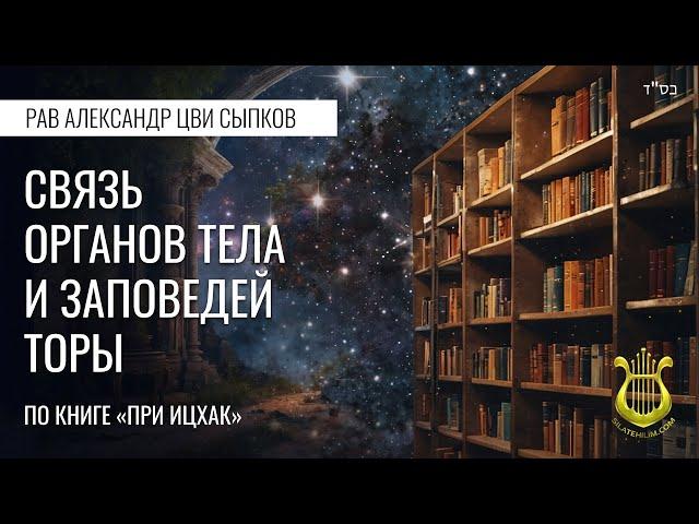 Урок 3. Связь органов тела и заповедей Торы по книге «При Ицхак». Рав Александр Цви Сыпков