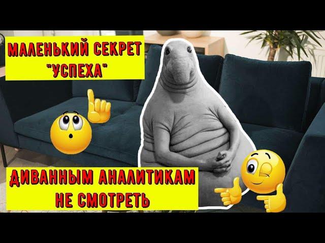 Секреты успеха - как без фанатизма достичь успеха