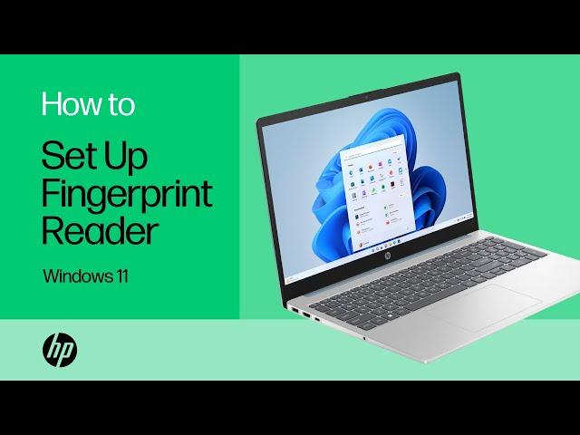 How to set up a fingerprint reader in Windows 11 | HP Notebooks | HP Support