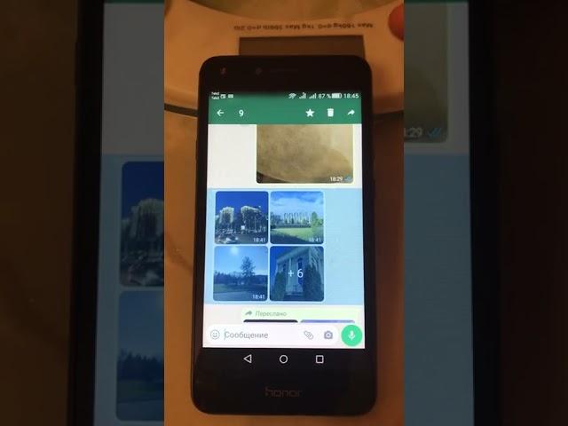 Как переслать фотографии которые тебе отправили на whatsapp (вотсап)