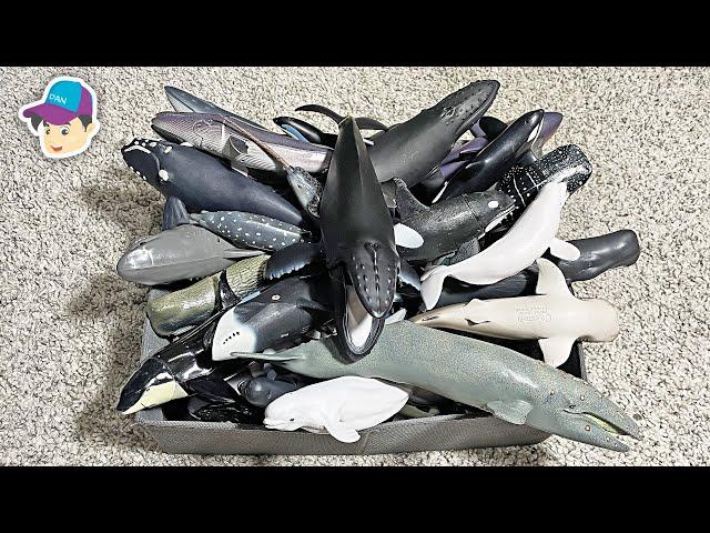 Sea Animals Collection - Shark Whale Dolphin Narwhal Beluga Megalodon Megamouth Vaquita Sawfish Orca