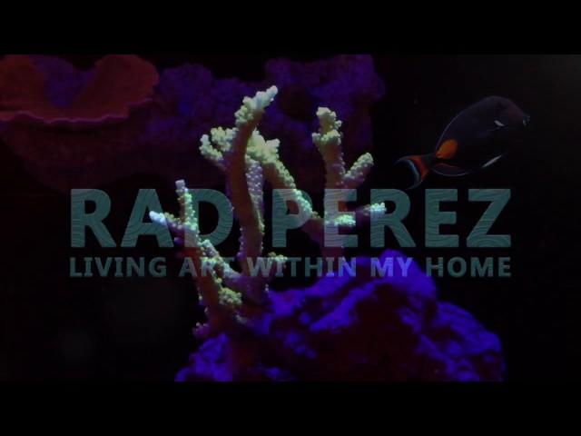 120g Reef Tank Build - Coralust.com - Coral health and coloration