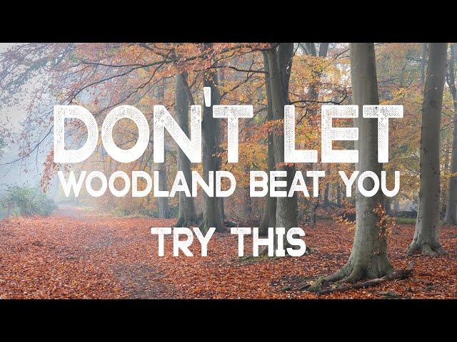 7 SIMPLE steps to make Woodland Photography EASIER