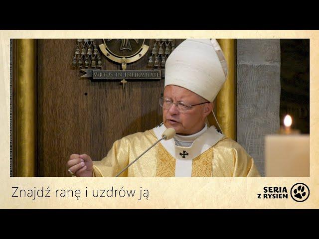 Znajdź ranę i uzdrów ją | kard. Grzegorz Ryś