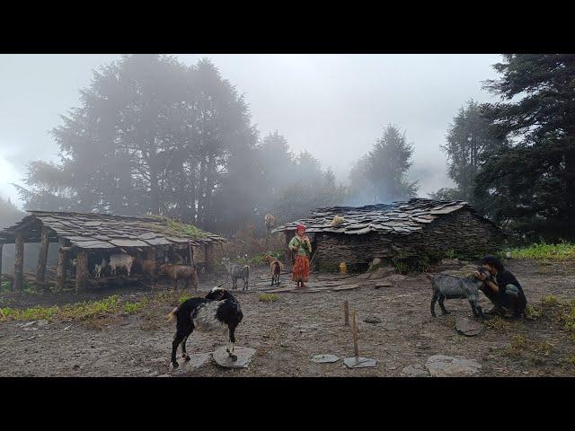 The Most Beautiful Rural Village Life During Rainy Days || Rural Activities In Nepal  ||