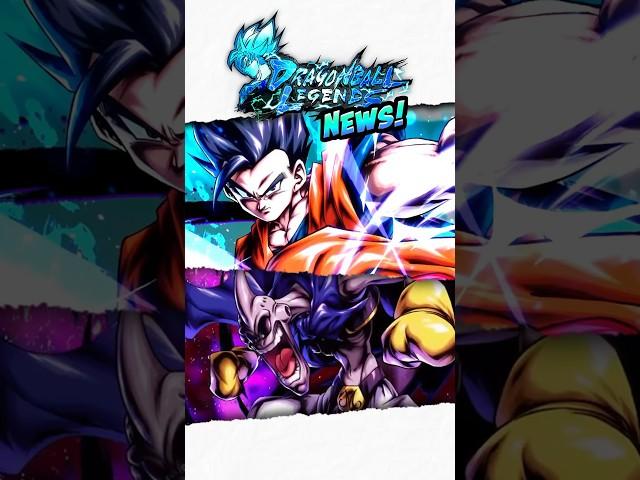 BREAKING NEWS!! NEW LF GOHAN IS COMMING!!! | Dragon Ball Legends #dblegends