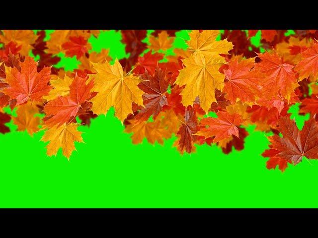 Green Screens : Falling leaves - The Autumn - Transitions