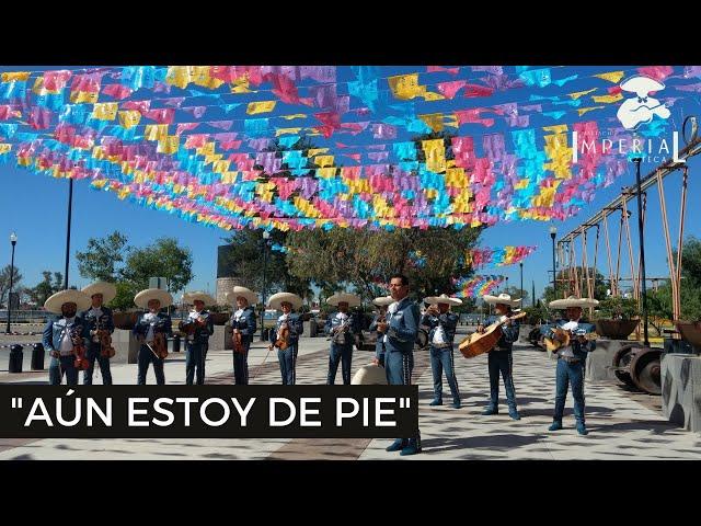 Aun Estoy de Pie - Mariachi Imperial Azteca  (Video Oficial)