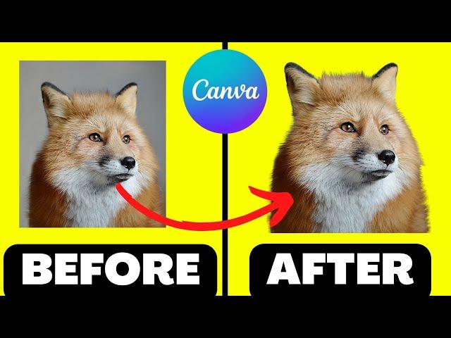 How to Cut Out an Image in Canva