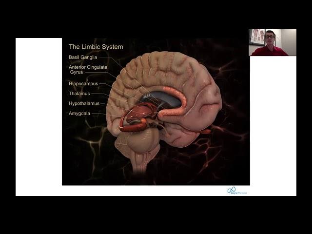 Chronic Pain Solutions -video 2 of 4 - Emotions and Heart