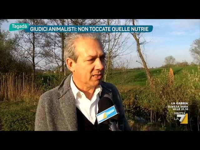 Giudici animalisti: non toccate quelle nutrie