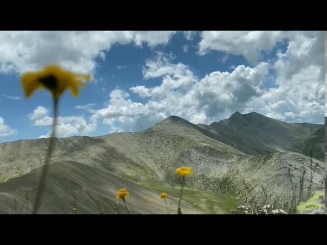 КРАСИВАЯ ОСЕТИНСКАЯ ПЕСНЯ В ГОРАХ ️ BEAUTIFUL OSSETIAN FOLK SONG