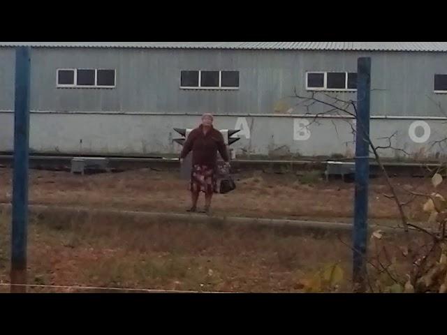 Сумашедшая бабка