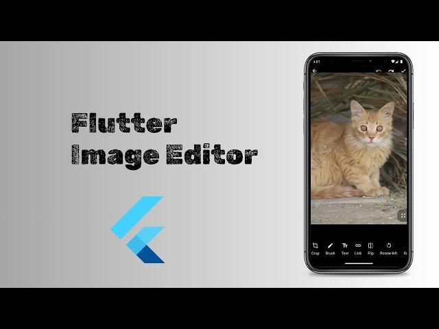 Flutter image editor | Complete image editor App in Flutter