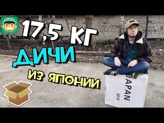 17,5 Кг игровой дичи из Японии (Я САМ В ШОКЕ) / #Большая_Распаковка