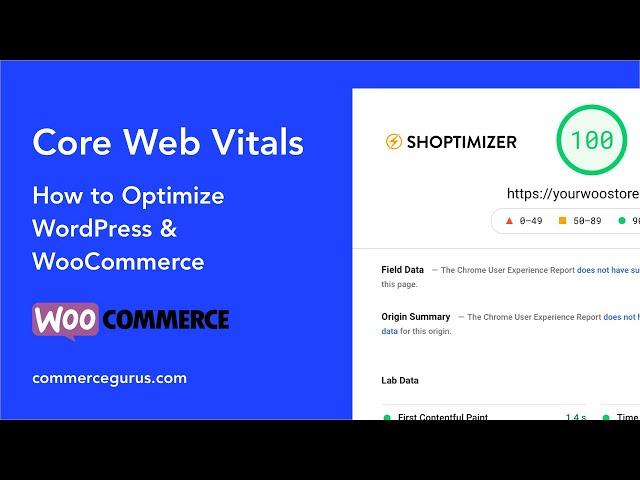 Core Web Vitals and FAST WordPress/WooCommerce - 95+ Google Pagespeed Insights Score!