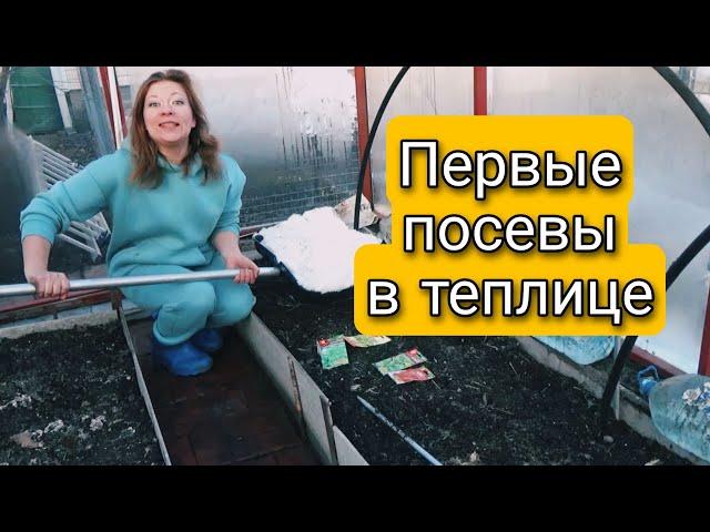 ПЕРВЫЕ ПОСЕВЫ В ТЕПЛИЦЕ | НЕ НУЖНО ЖДАТЬ СЕЙТЕ СЕЙЧАС | Светлана Самойлова