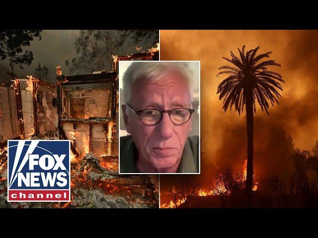 James Woods rips 'blithering idiot' Newsom after wildfire ravages neighborhood