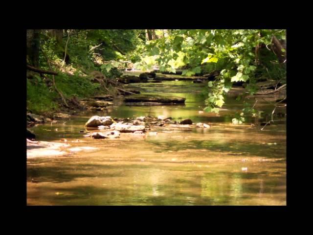 400 Acre TN Farm For Sale!  United Country Nashville