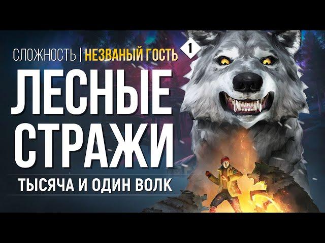 1000 и 1 ВОЛК ► THE LONG DARK (НЕЗВАНЫЙ ГОСТЬ ) # 1