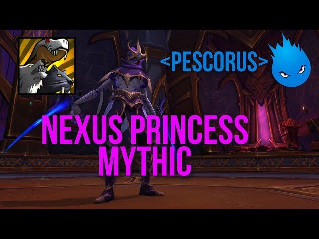 Pescorus x Nexus Princess Mythic | BM Hunter PoV